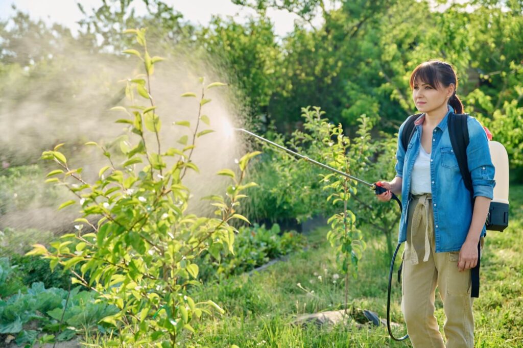 Woman Gardener With Spray Backpack Sprays Pear Tre