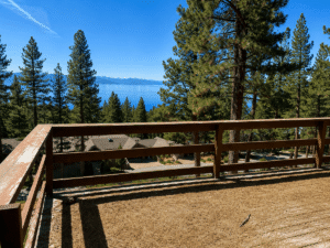 Deck With Pine Needles 2